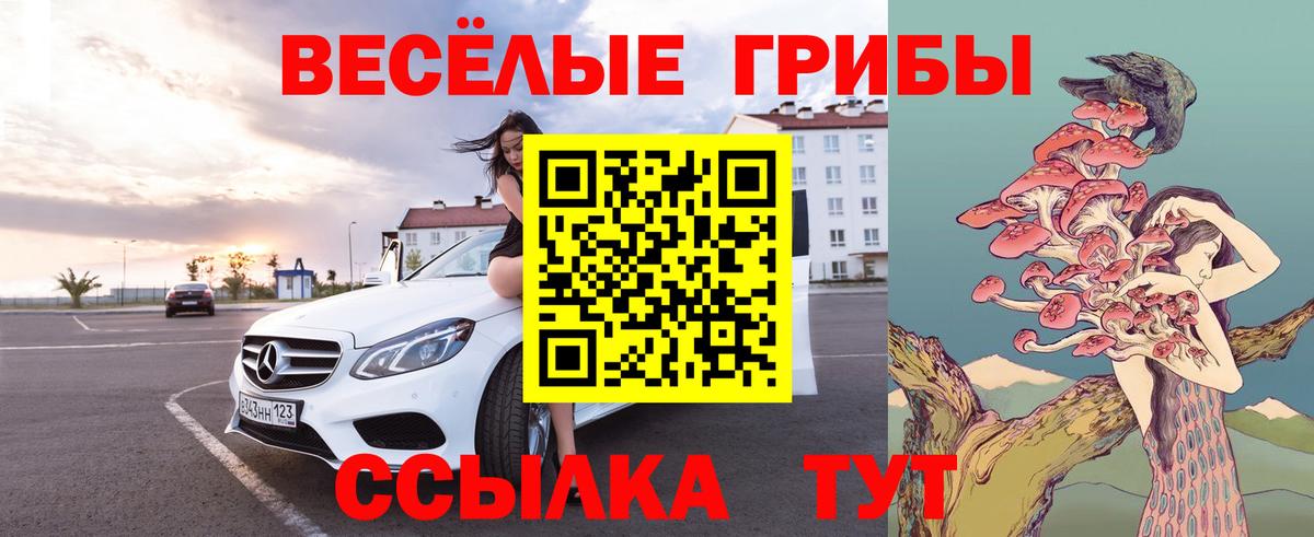 Псилоцибиновые грибы Psilocybine cubensis  Вход с VPN  Красноуфимск  Галлюциногенные грибы прущие грибы 